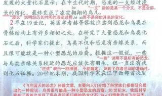 《飞向蓝天的恐龙》为什么说辽西的发现给古生物学家们描绘的画卷添上了点睛